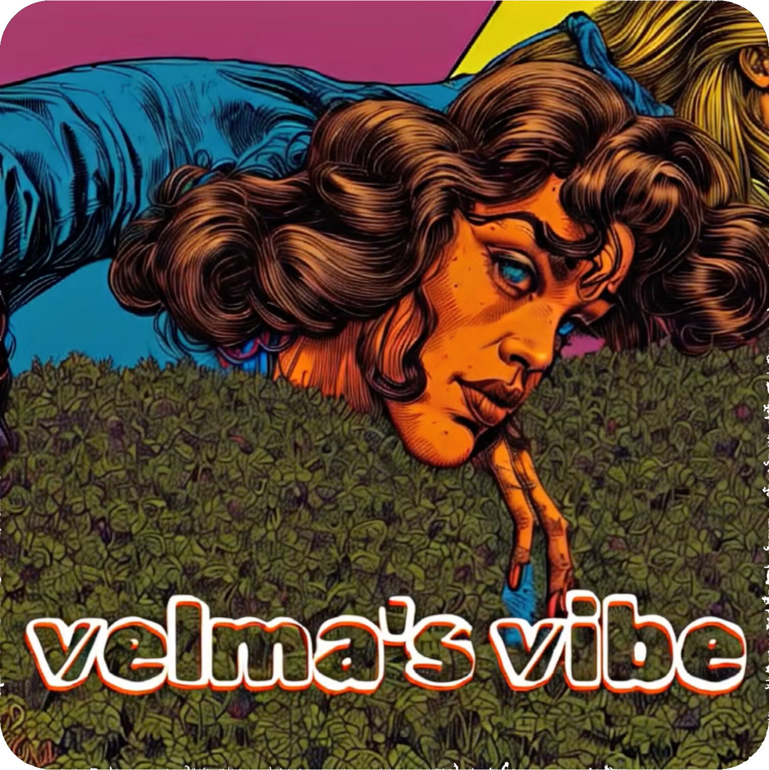Velma's Vibe logo